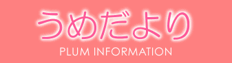 infotitle01.gif (5143 oCg)